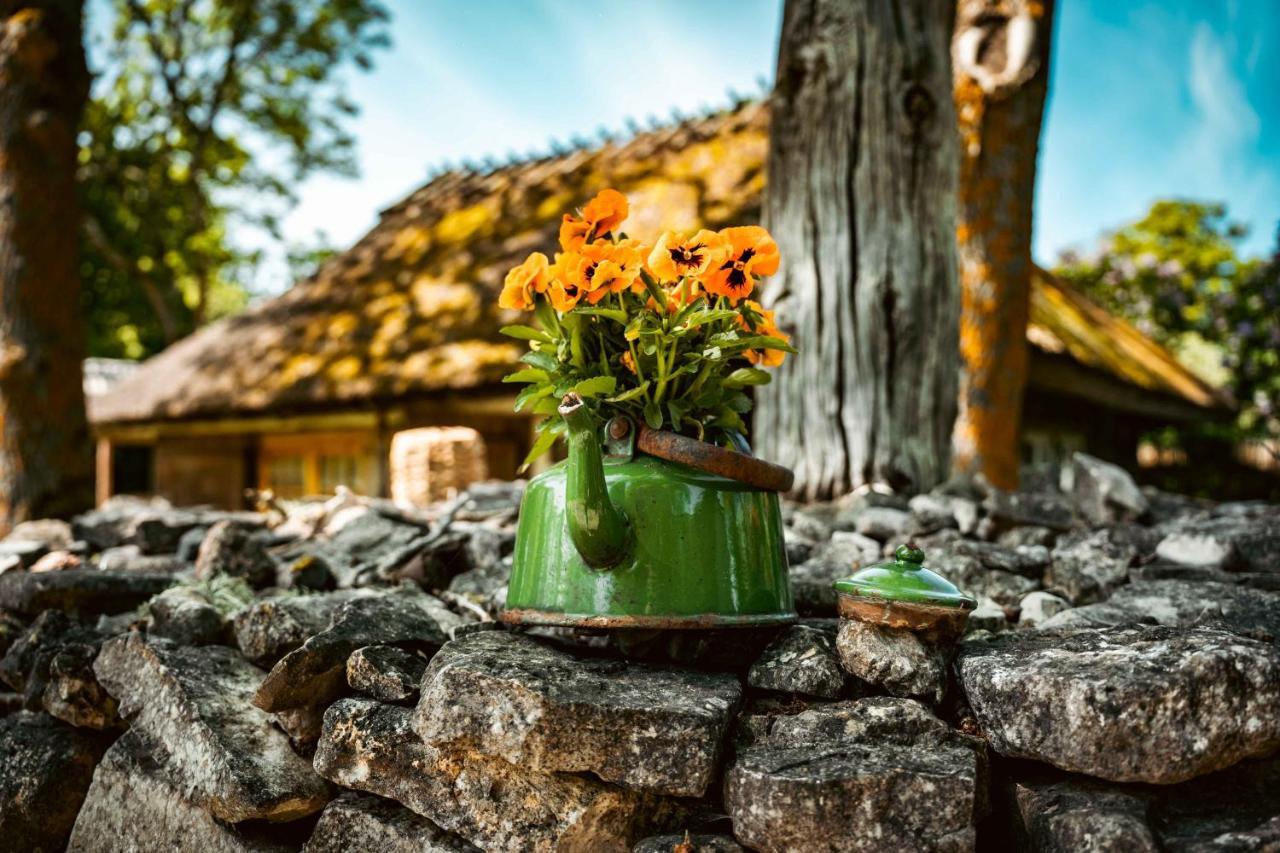 Vanatoa Taluhotell Koguva Exterior photo